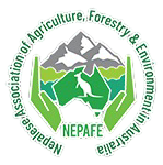 cropped-NEPAFE-Header-Logo-White-Outline-4